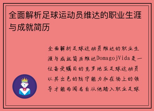 全面解析足球运动员维达的职业生涯与成就简历